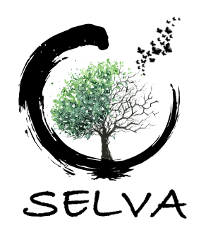 seòvaacademy